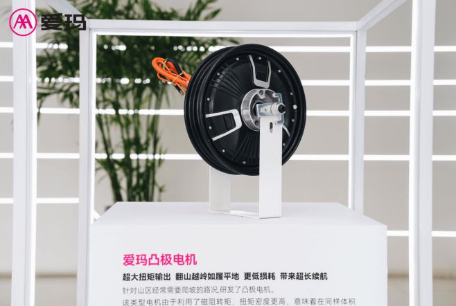 星空体育网站：四大电机平台持续创新爱玛机电推动行业高质量发展(图6)