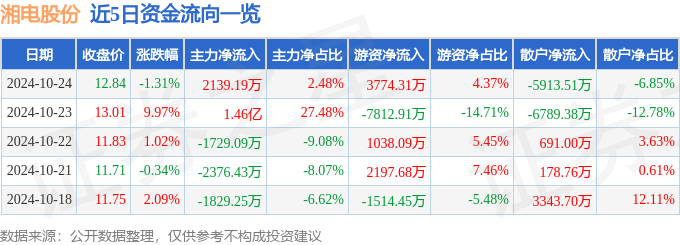 股票行情快报:湘电股份(600416)10月24日主力资金净买入213919万元