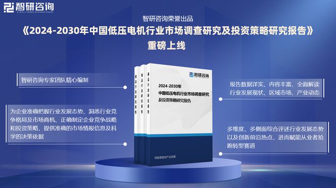 中国低压电机行业发展现状及投资前景研究报告（2024-2023年）