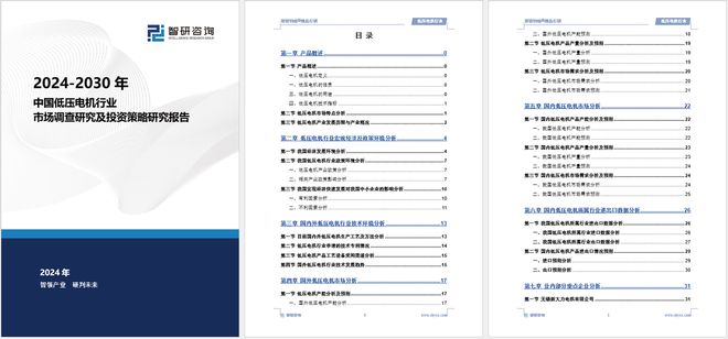 中国低压电机行业发展现状及投资前景研究报告（2024-2023年）(图5)