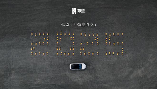 仰望2024：领先之上从未止步(图13)
