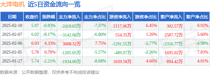 大洋电机(002249)2月10日主力资金净卖出241963万元