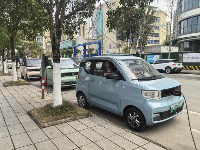新闻调查：新能源汽车下乡这5年……(图2)
