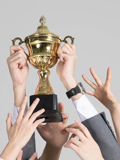 内转子无刷直流电机(图3)